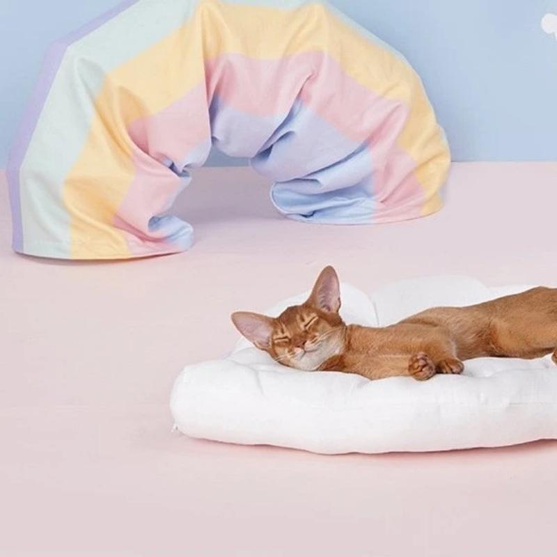 Rainbow Stars Cat Tunnels with Removable Cat Bed - Western Nest, LLC