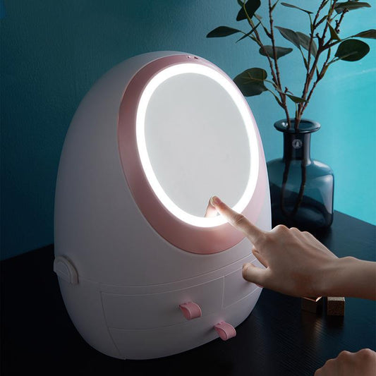 Cosmetics Storage Mirror