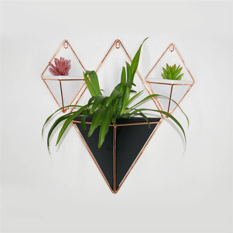 a potted plant sitting on top of a black shelf