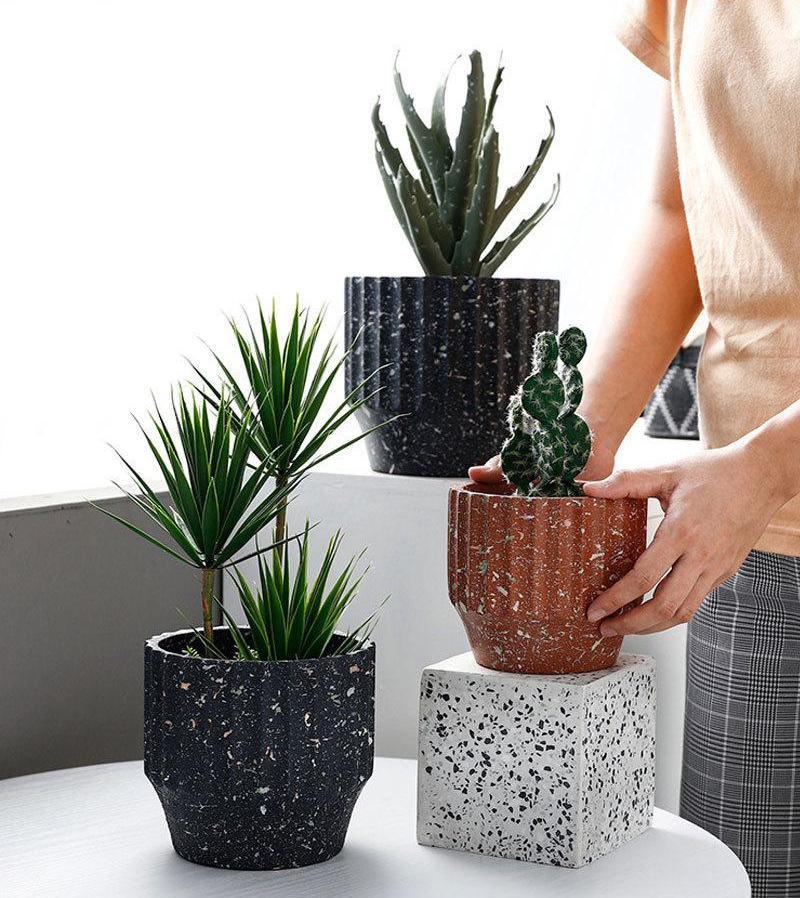 a person holding a potted plant on a table