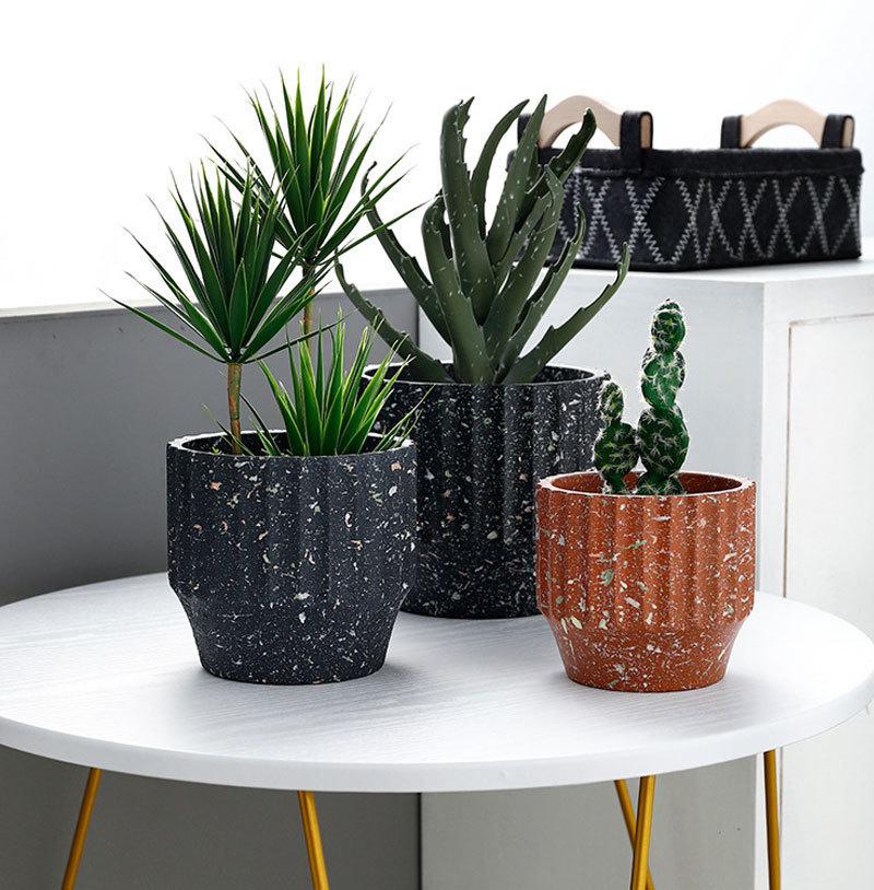 three potted plants sitting on top of a white table