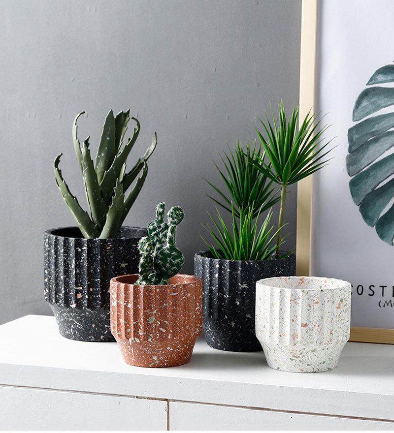 a group of three potted plants sitting on top of a white table