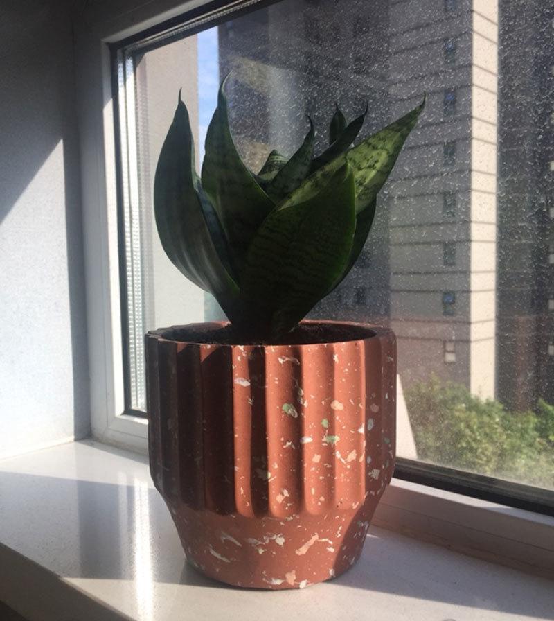 a potted plant sitting on a window sill