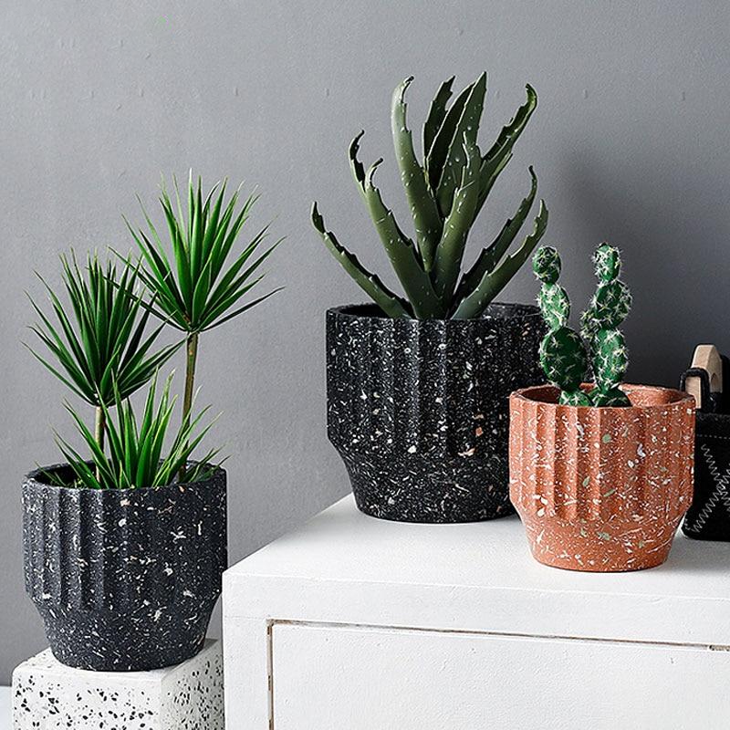 three different types of plants in black and white pots