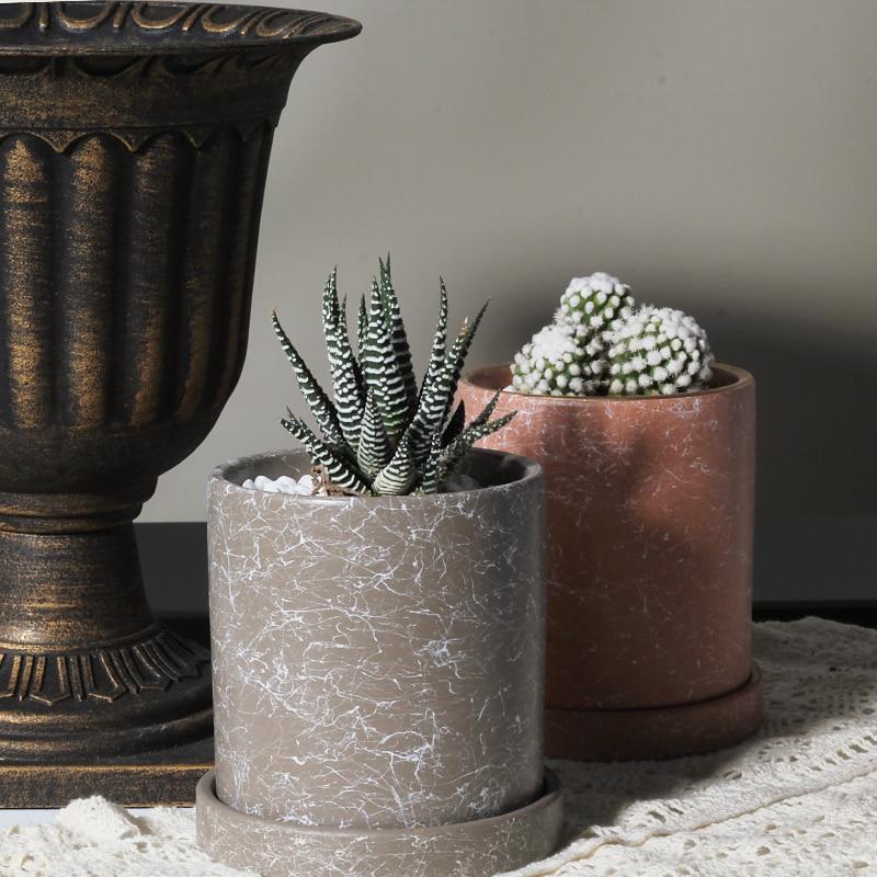 two potted plants sitting next to each other on a table