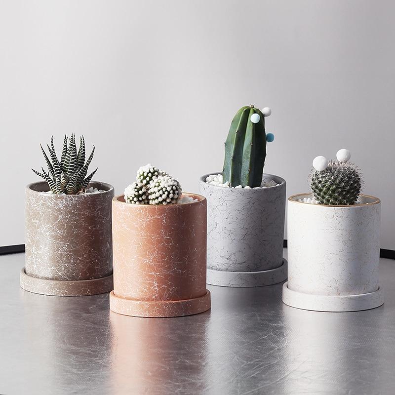 a group of three cactus plants sitting on top of a table