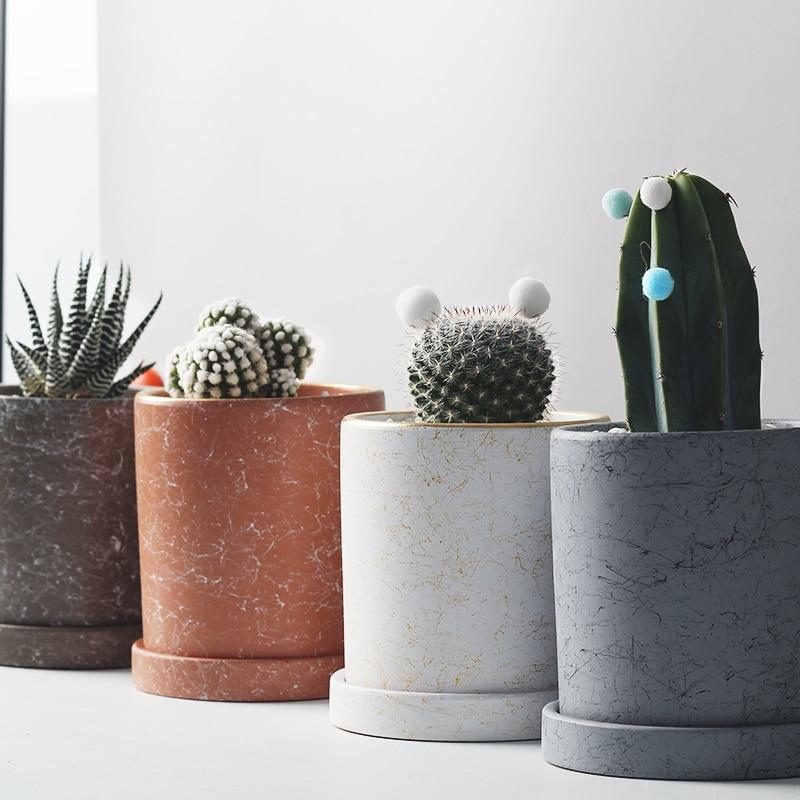 a group of three cactus pots sitting next to each other