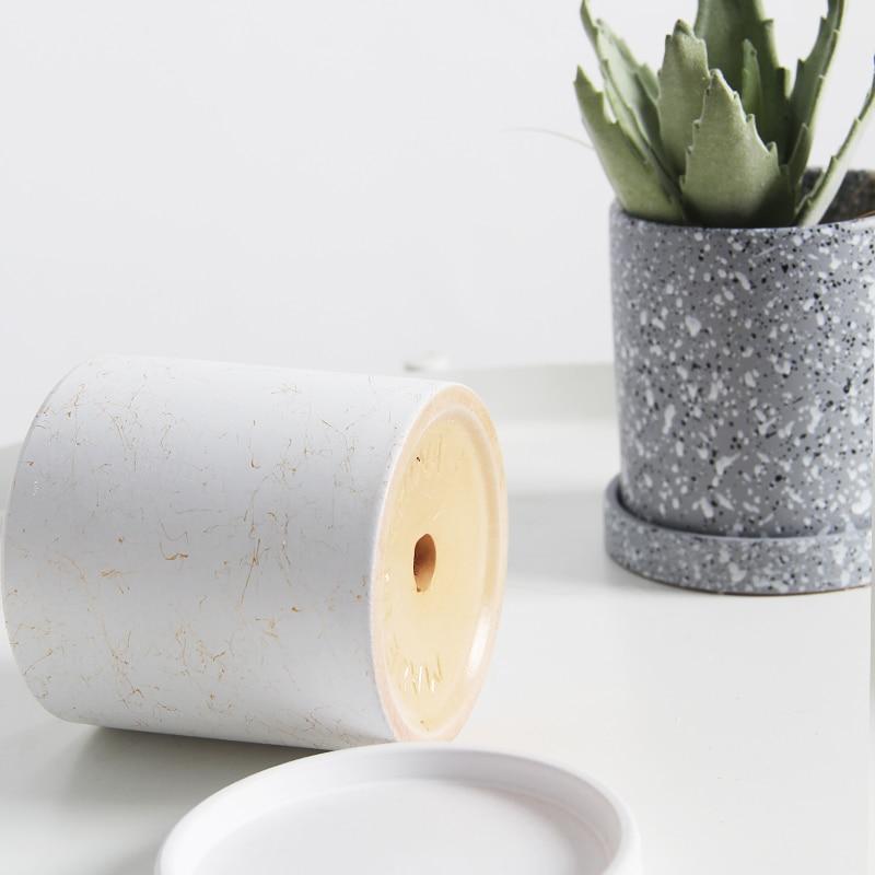 a small potted plant next to a roll of toilet paper